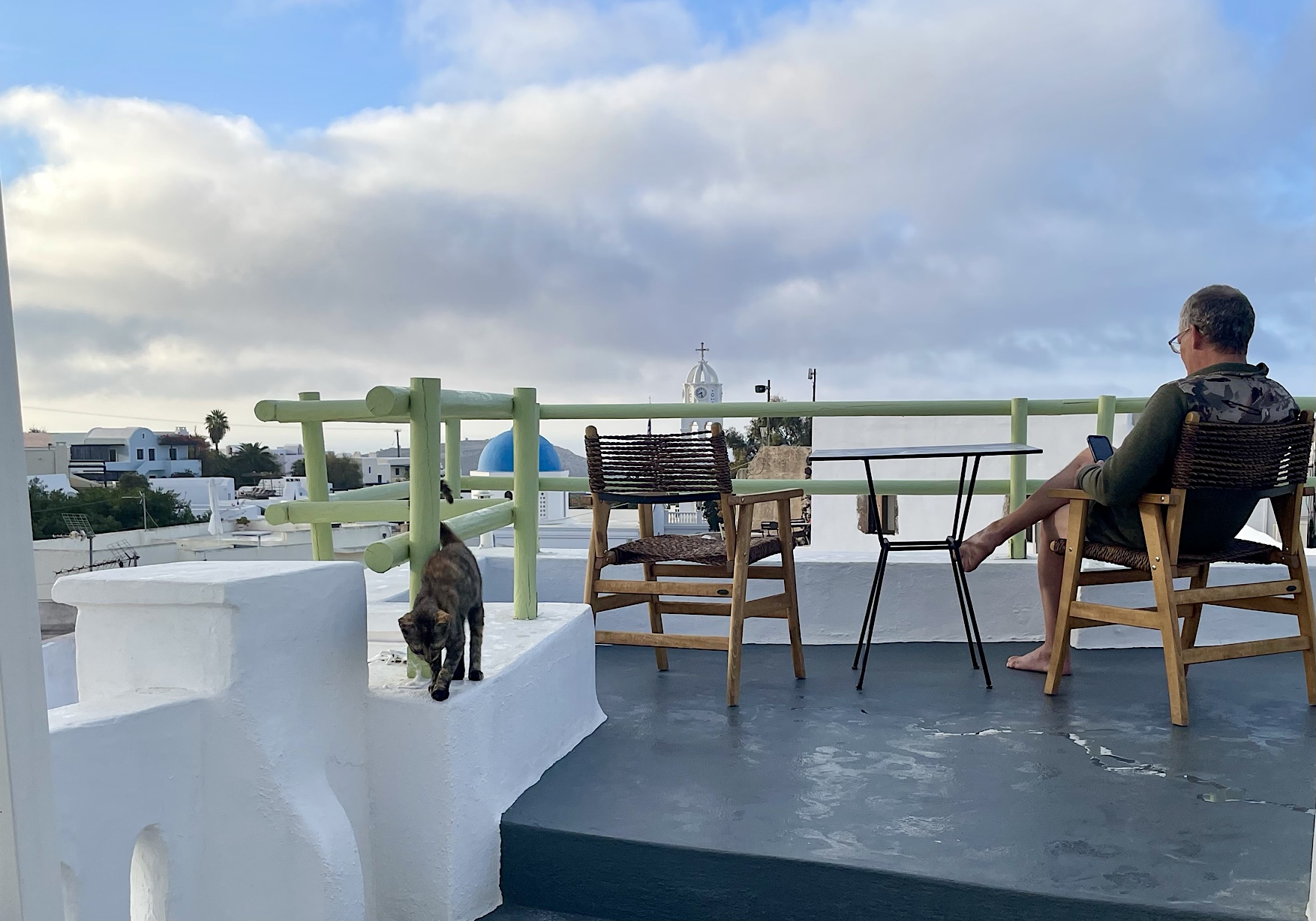 This cat glides like a ghost on the tops of whitewashed walls.