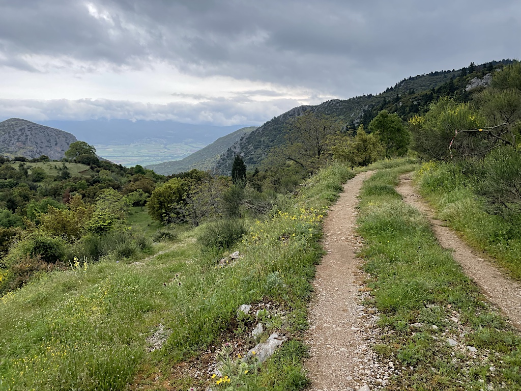 The road to Polydrosos.