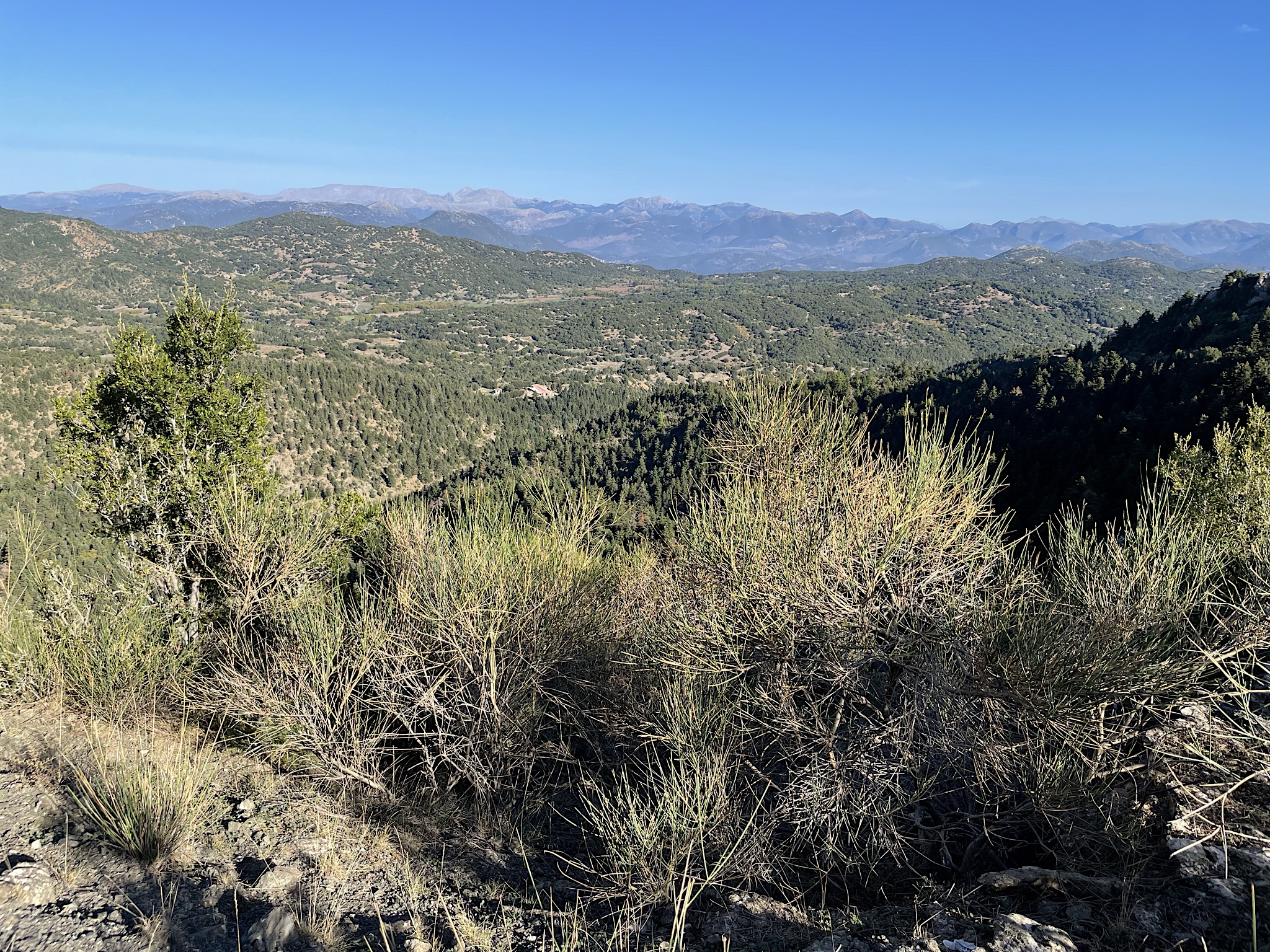 All over the landscape!