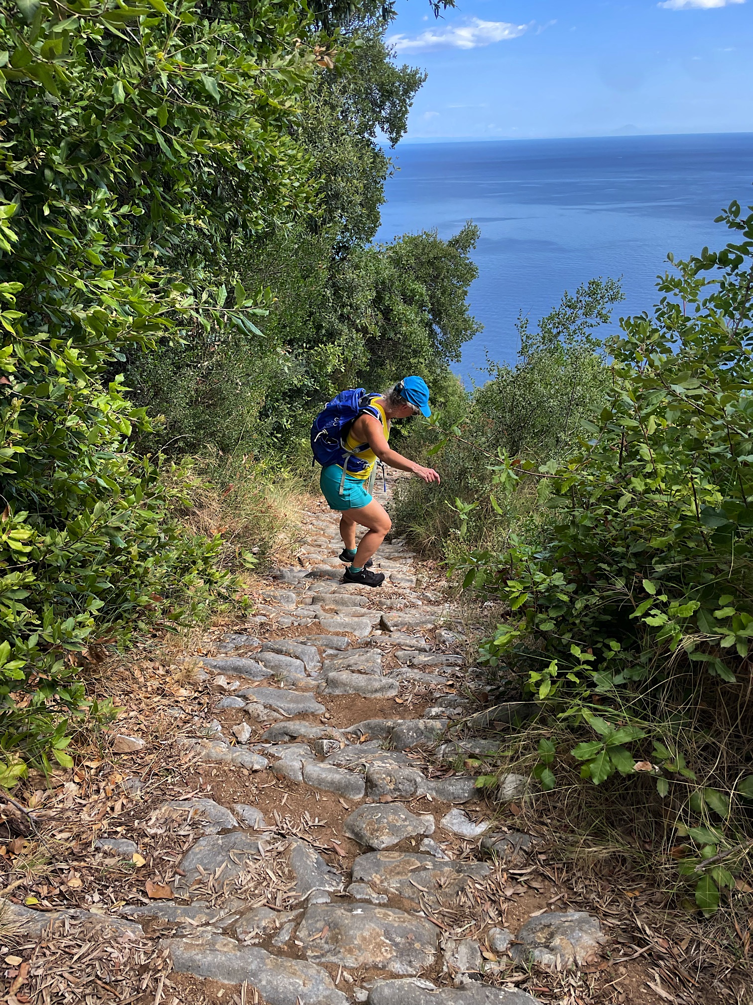 This kind of thing is on the border between walkable trail and ladder. It takes patience and strong legs!