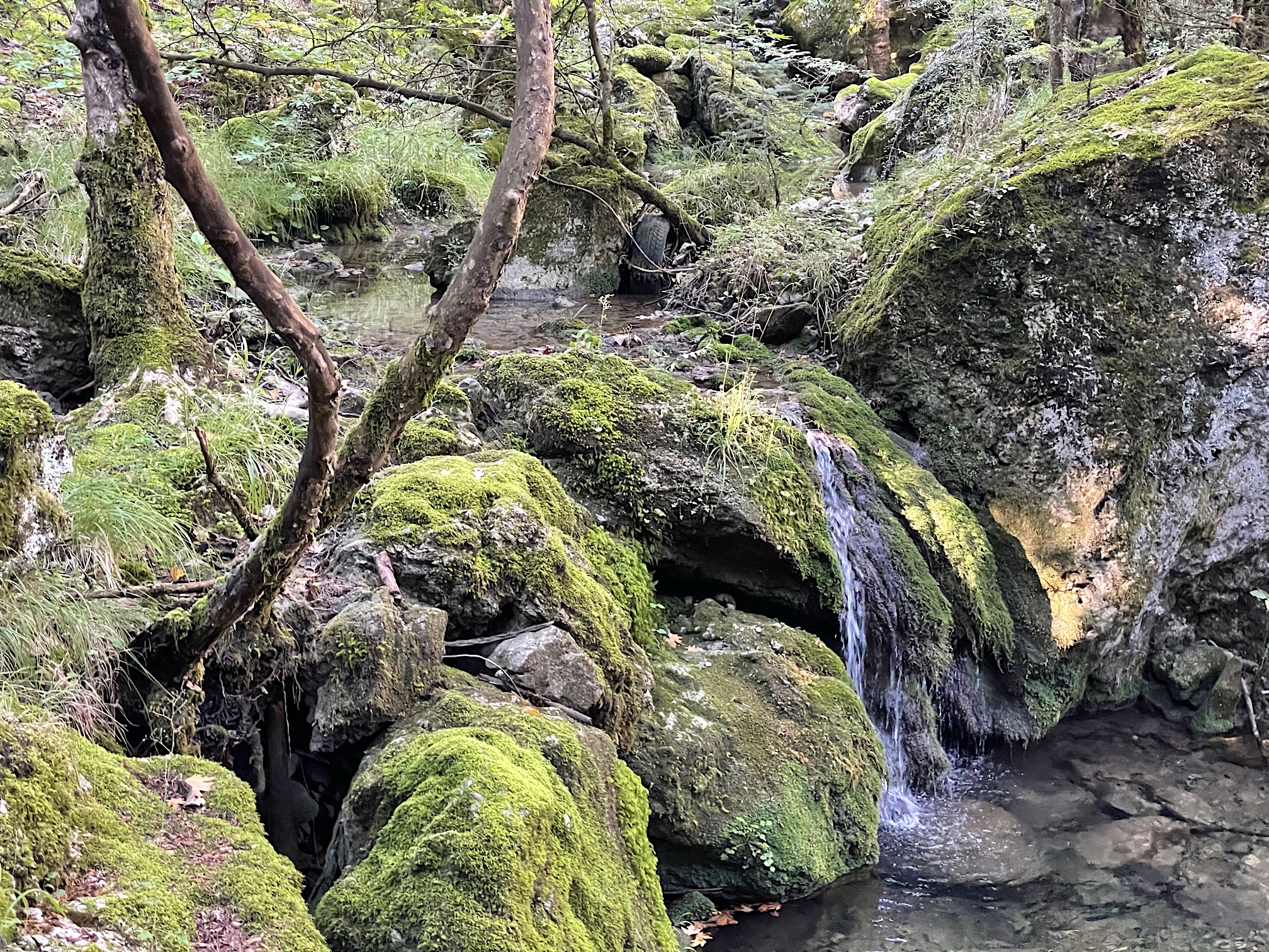 I see why they call it Arcadia.