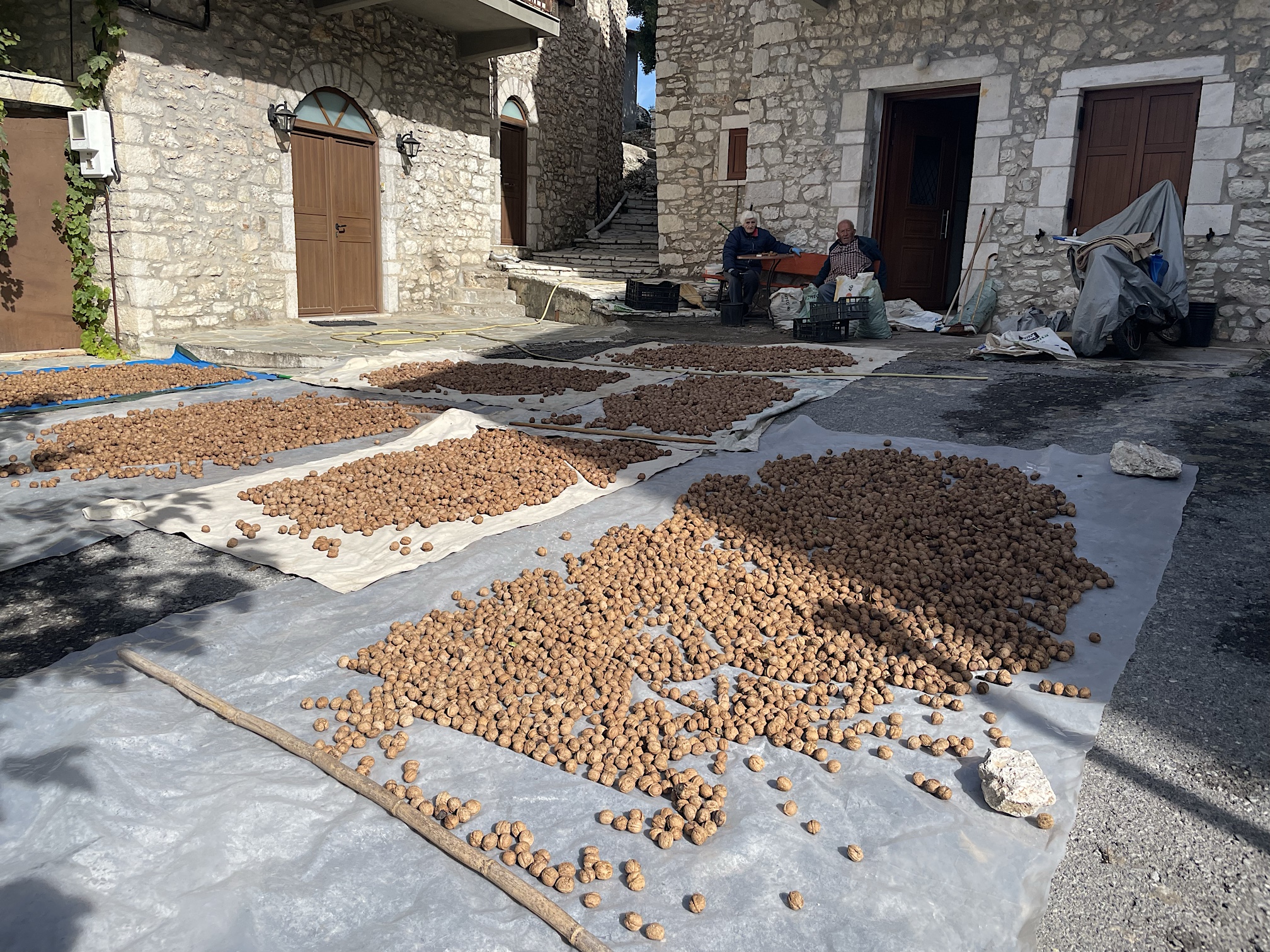 Walnuts spread out to dry in the Zygovisti plateia