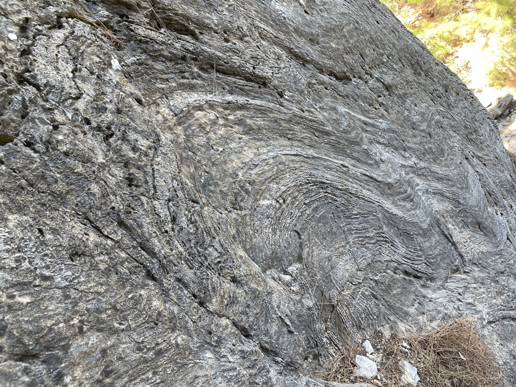 Strata, or layers, which give us the study of stratigraphy.