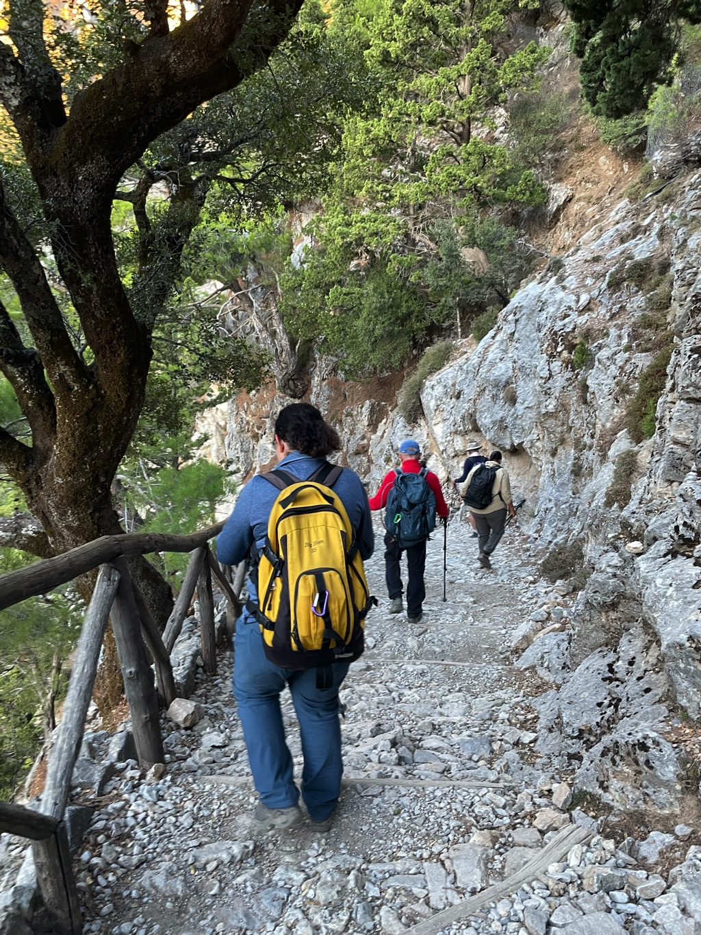 The start of the hike is a long descent down a rocky staircase. The rocks are worn smooth, which makes them slippery–this is probably the most dangerous part of the hike.