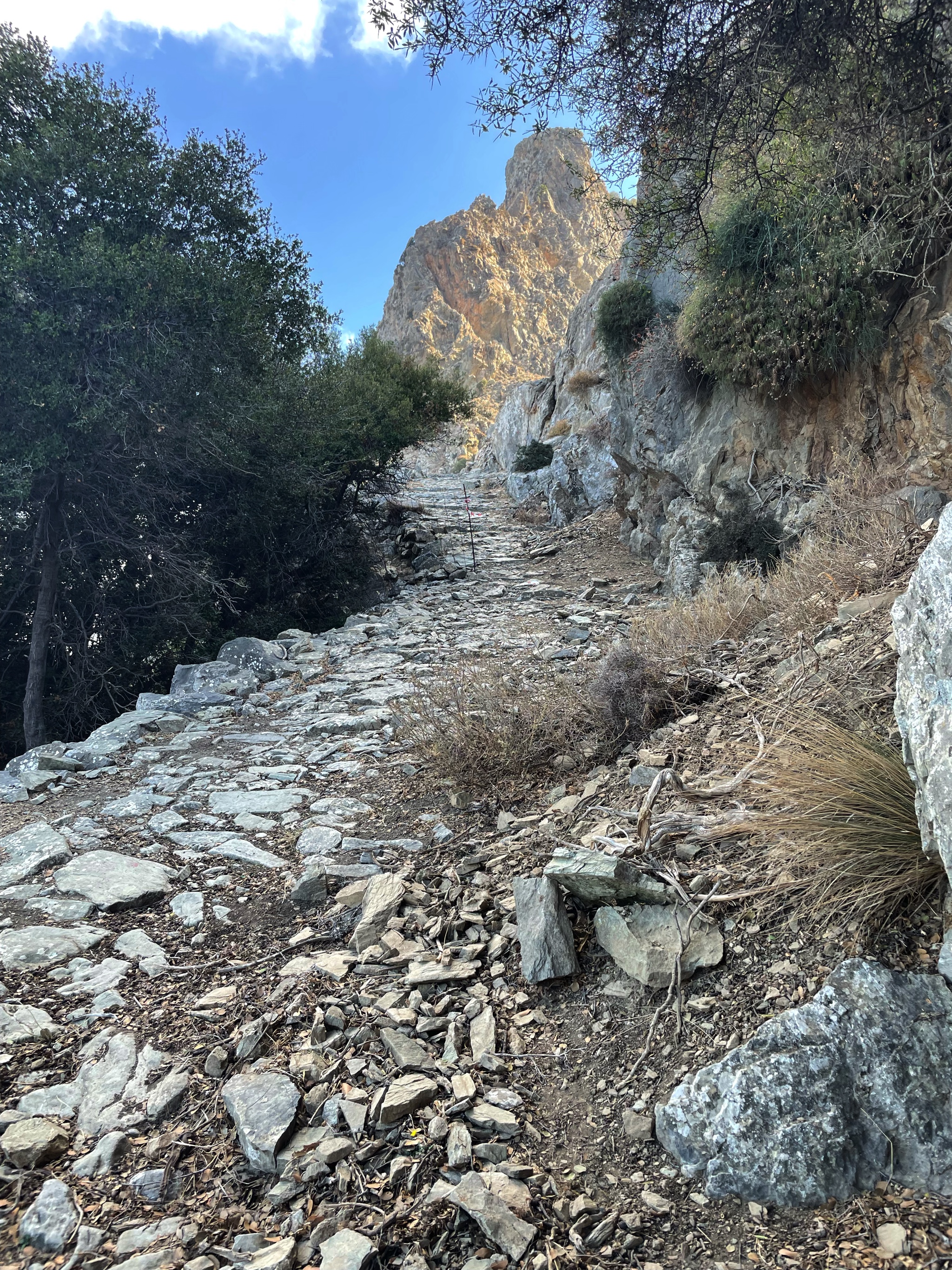 The kalderimi, an old cobbled path.