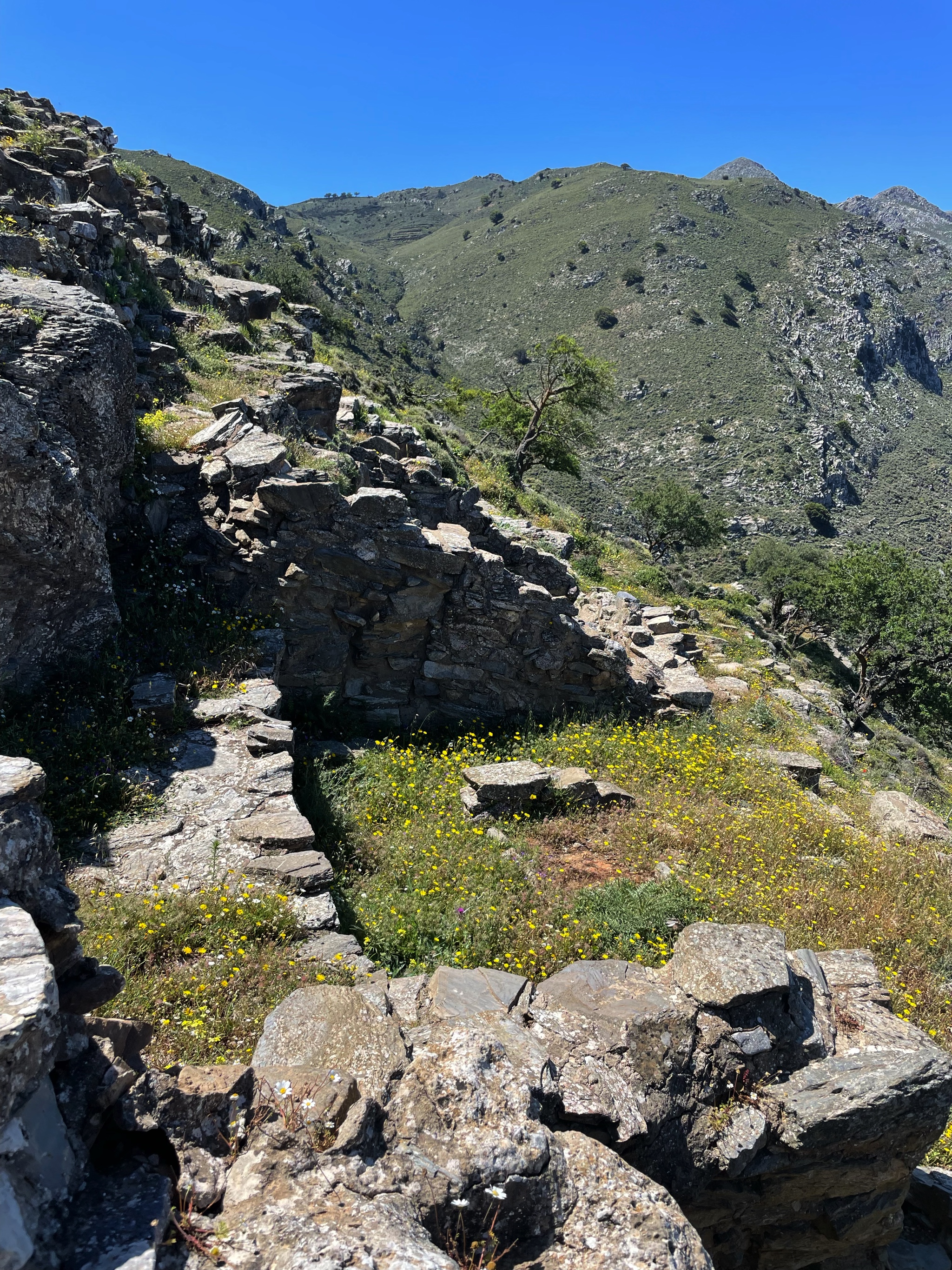 I had to climb over walls to get into Donald’s old trench.