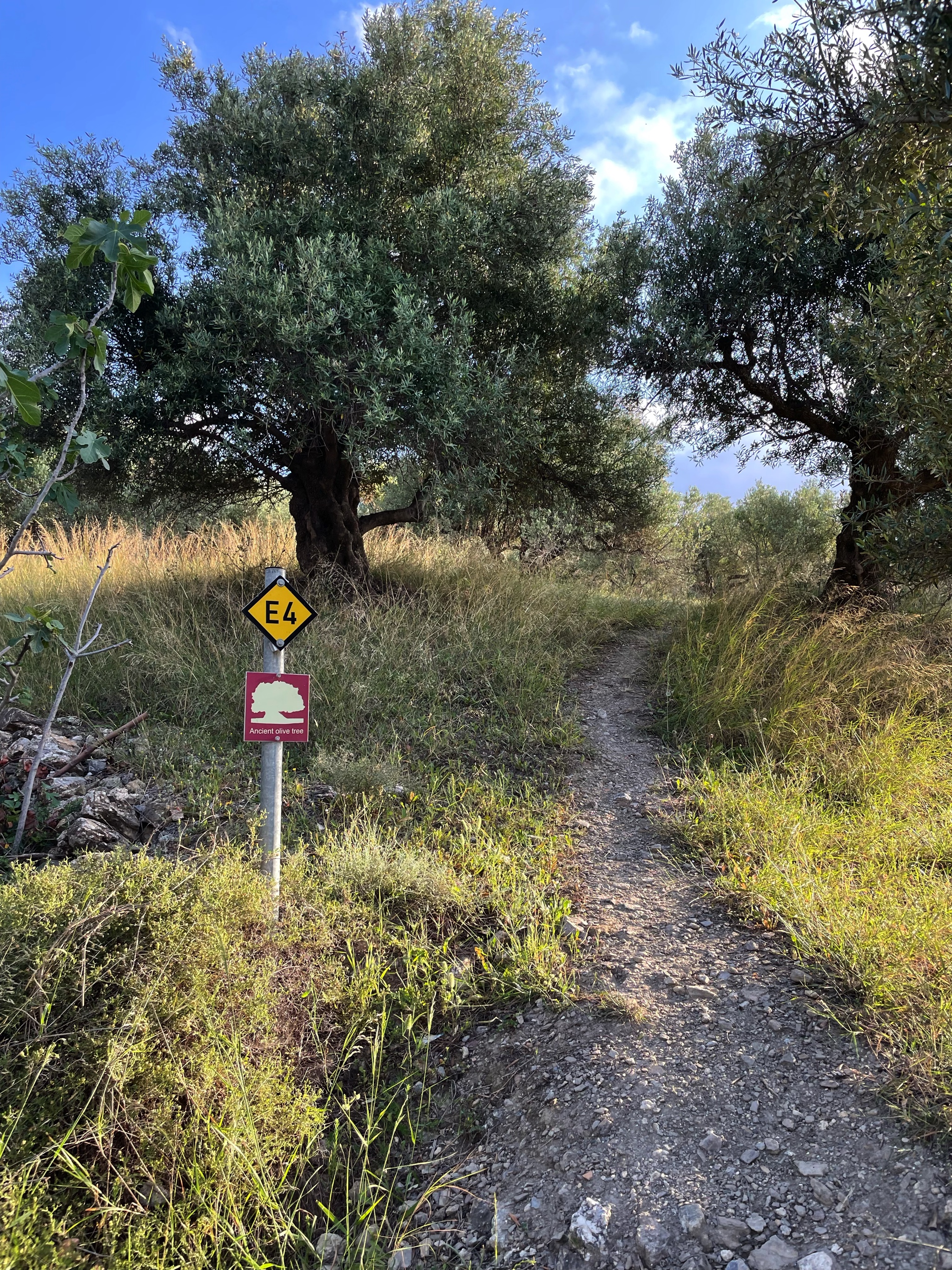 This is part of the E4 trail.