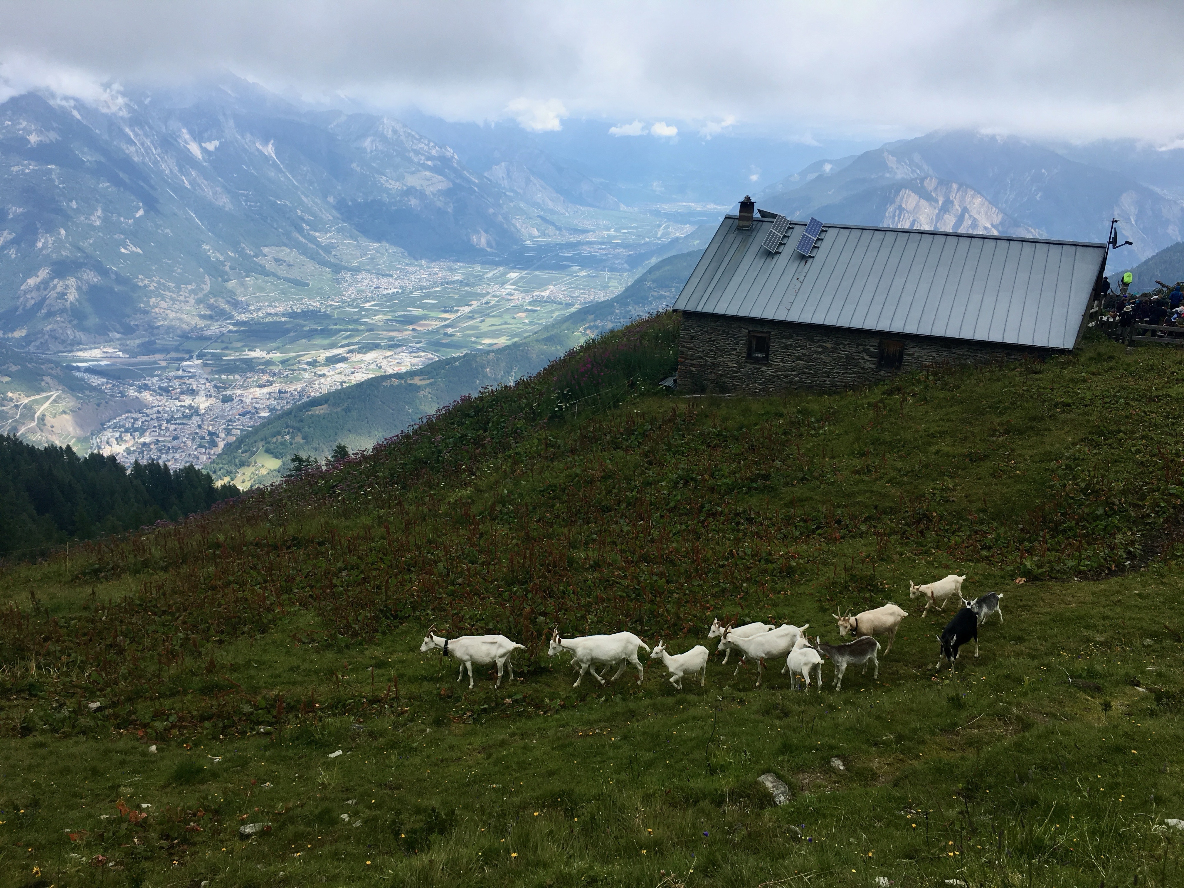 After the clouds cleared, we could actually see Martigny and some of the Rhone valley/Bernese Oberland.