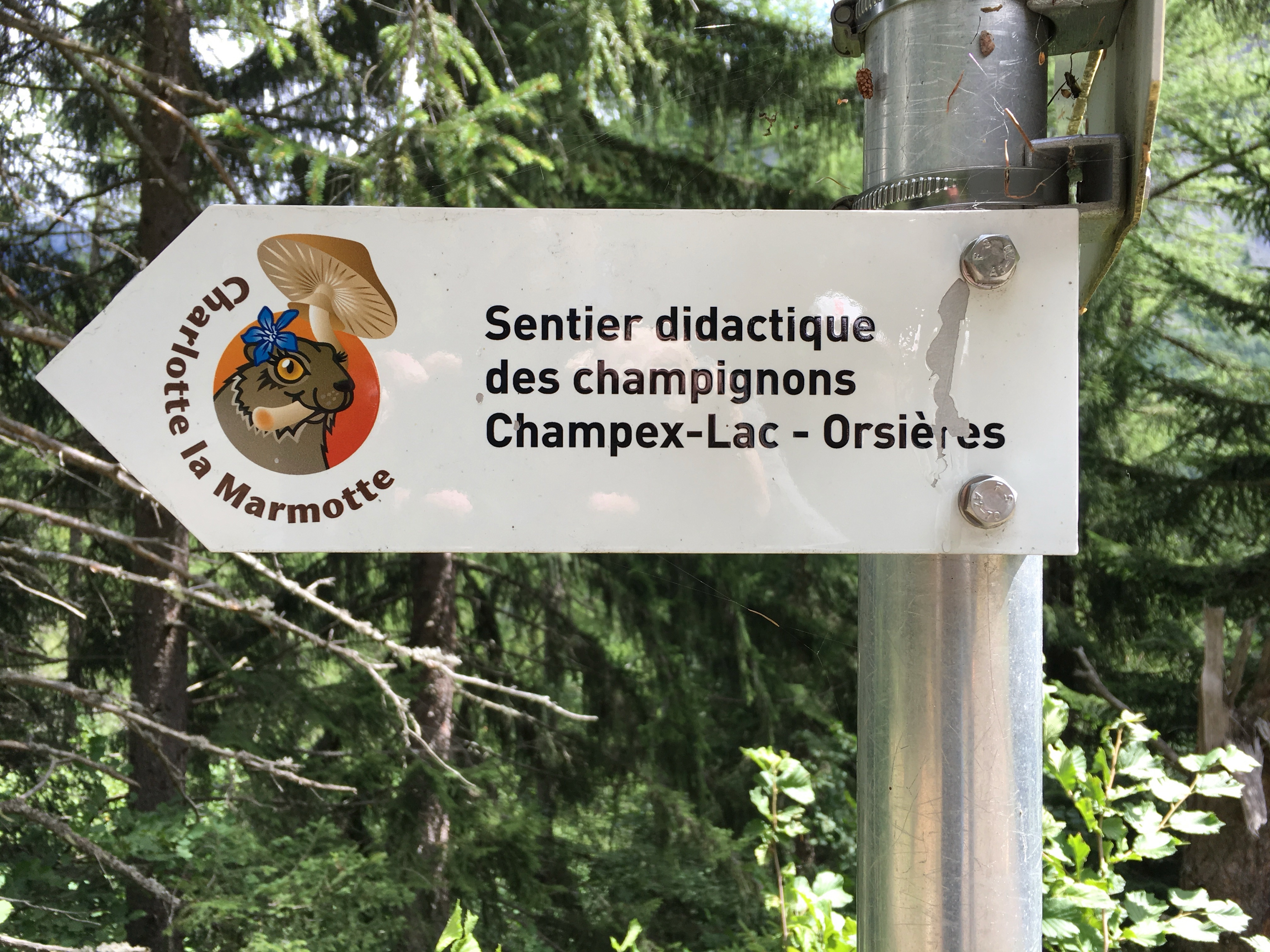 Charlotte la Marmotte, the local spokesmarmot