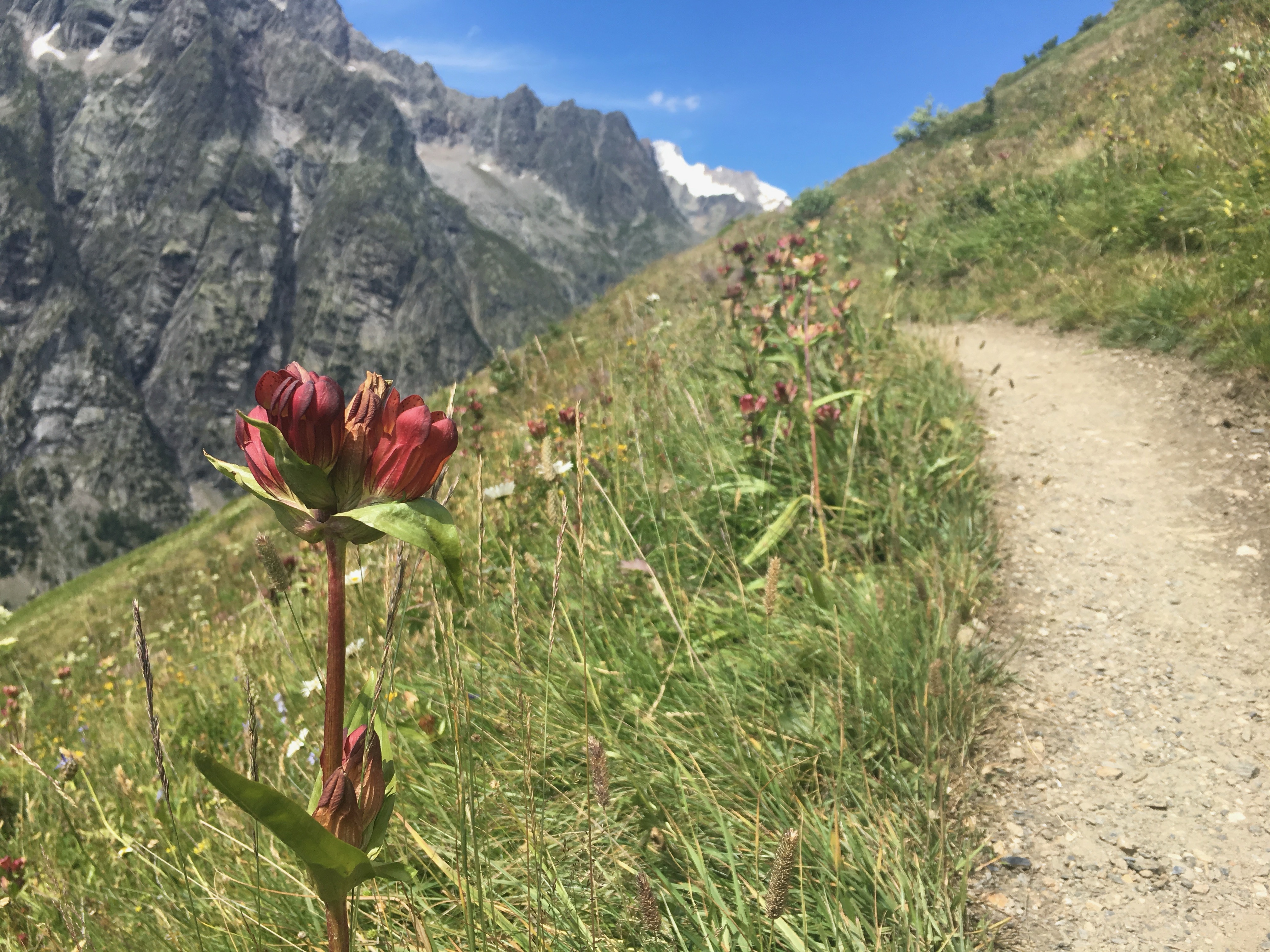 A pretty balcony walk!