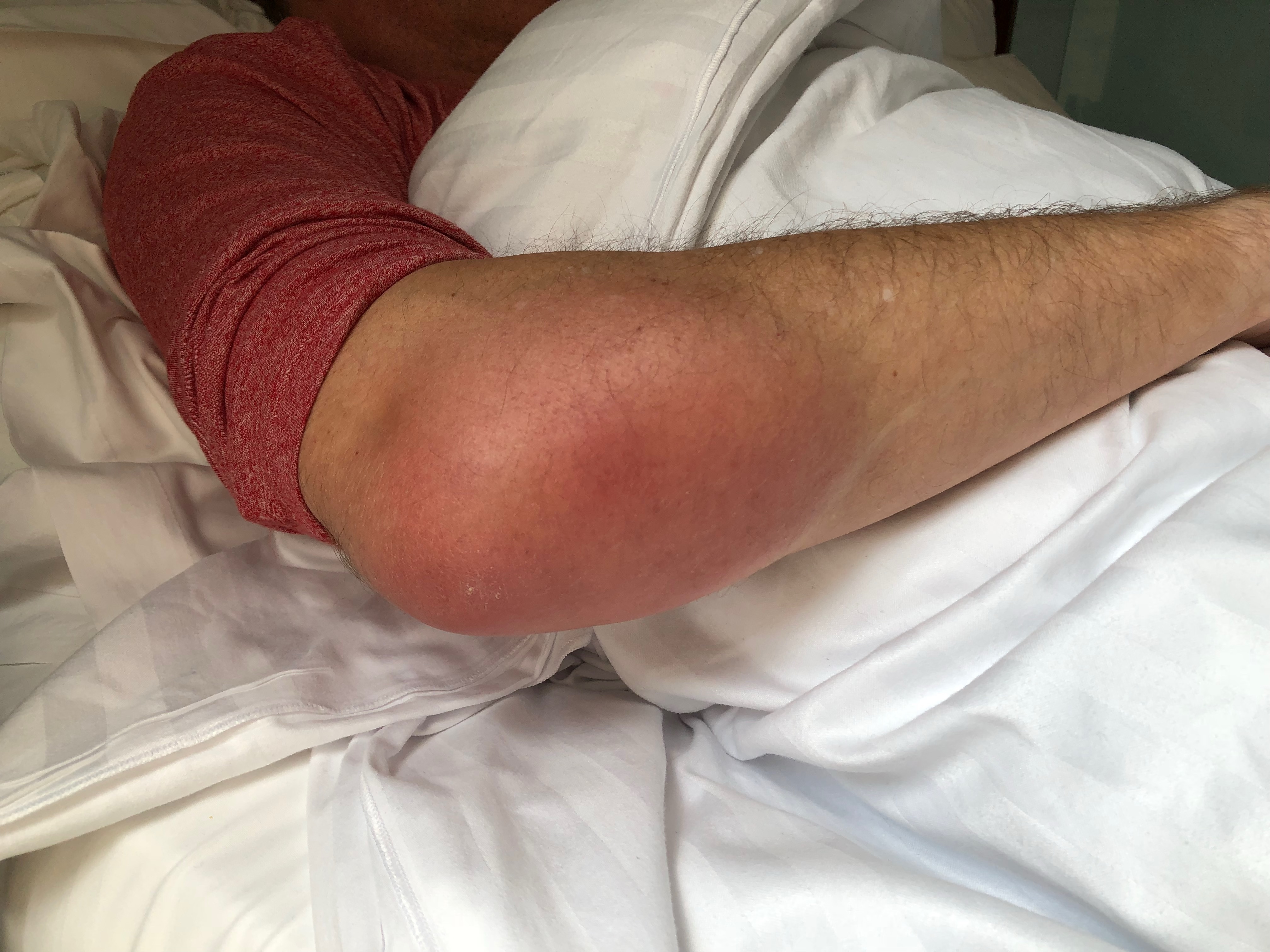 The next morning, he showed me THIS: