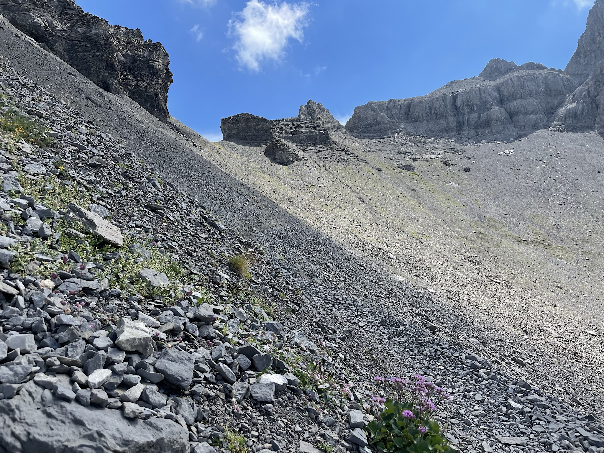 One last look at our friendly Bunderchrinde.