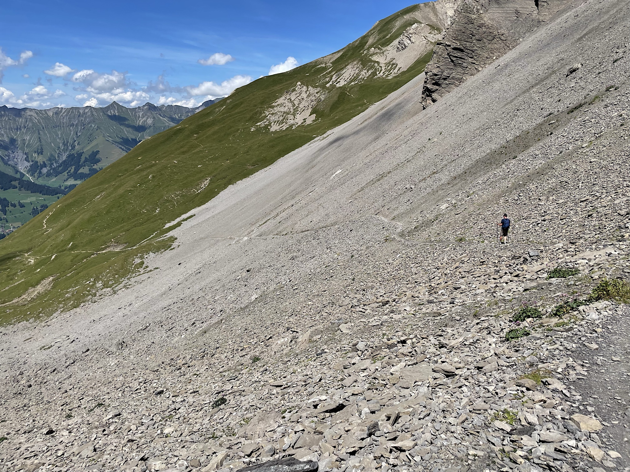 Finally, some grassy terrain!