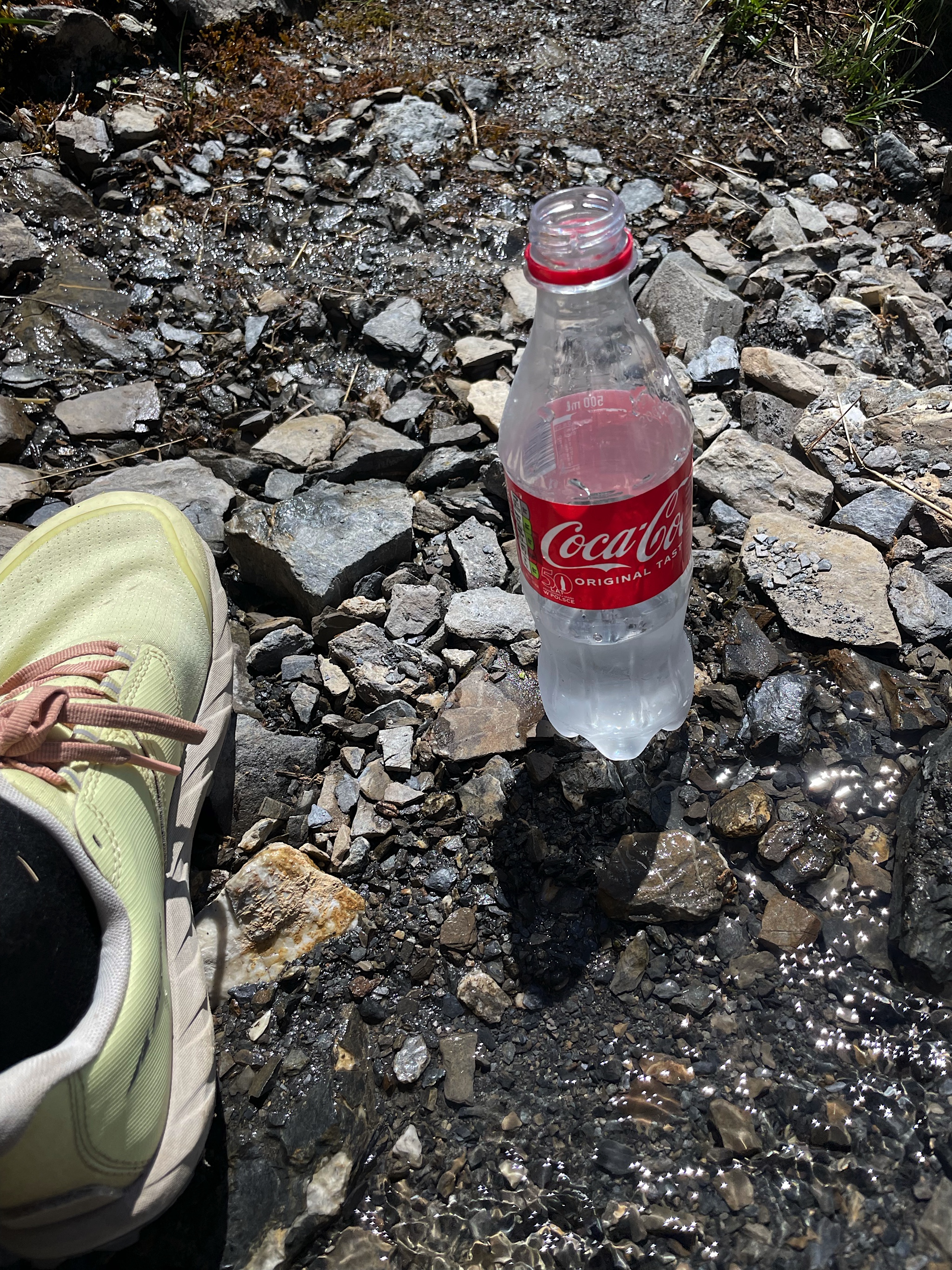Fortunately, I’d just bought a Coke from those cows, so I had a bottle with which to collect this spring water.