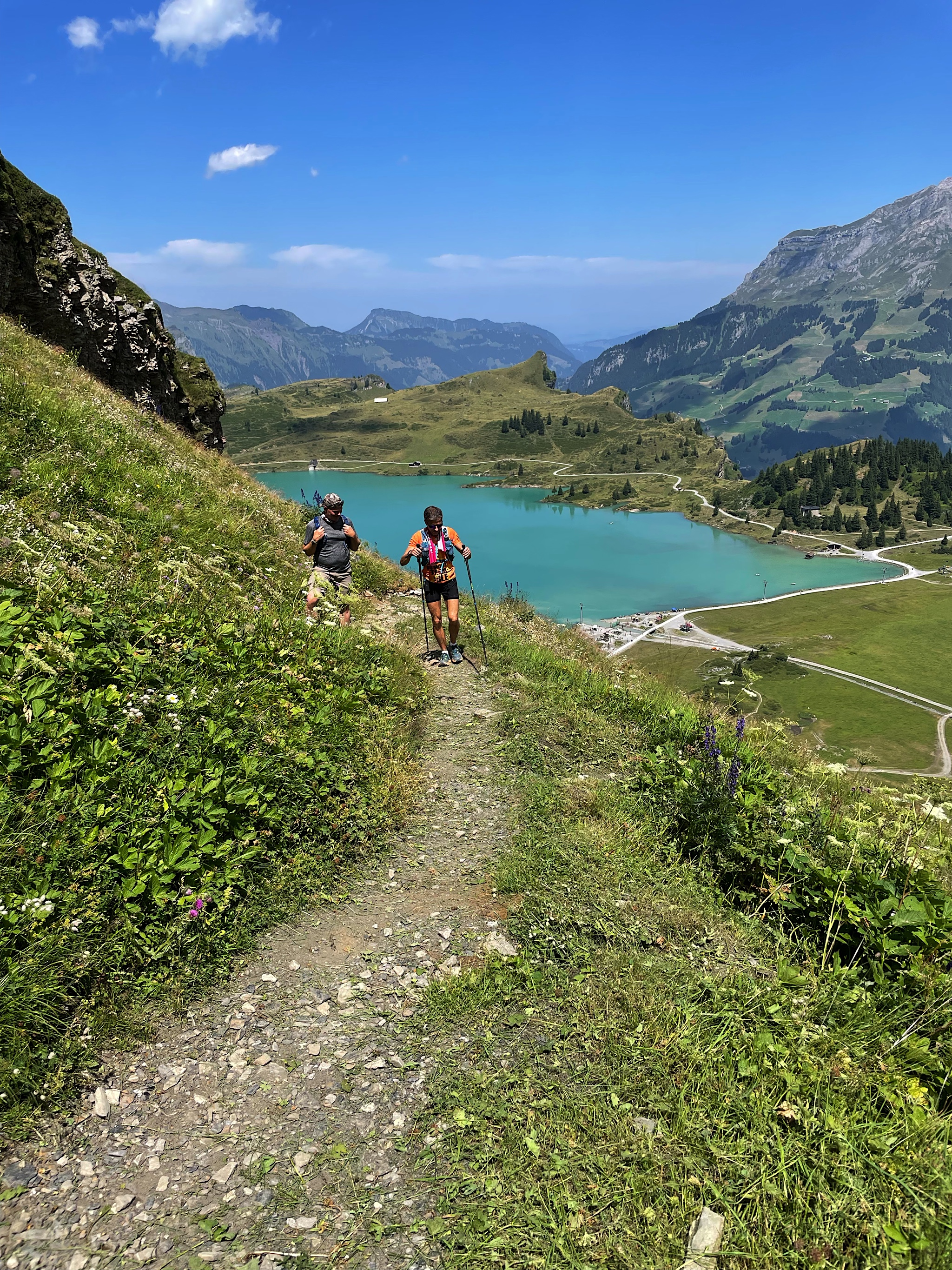 Along the way, we were repeatedly passed by skinny dudes RUNNING the entire Via Alpina. This is an annual marathon. They were much with us today and the next day, and then we never saw them again.