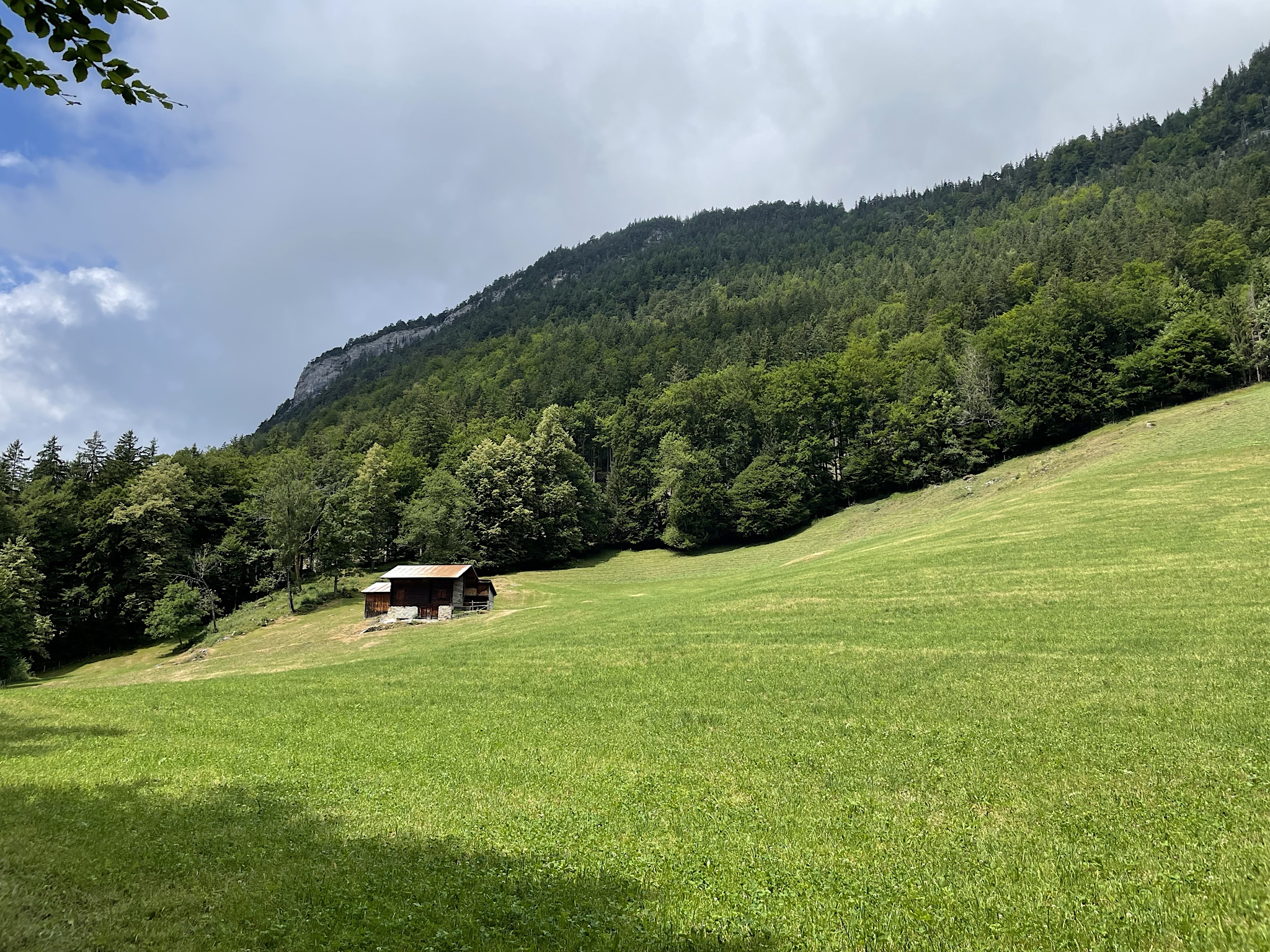 The sun is coming out! There are still clouds above, though.