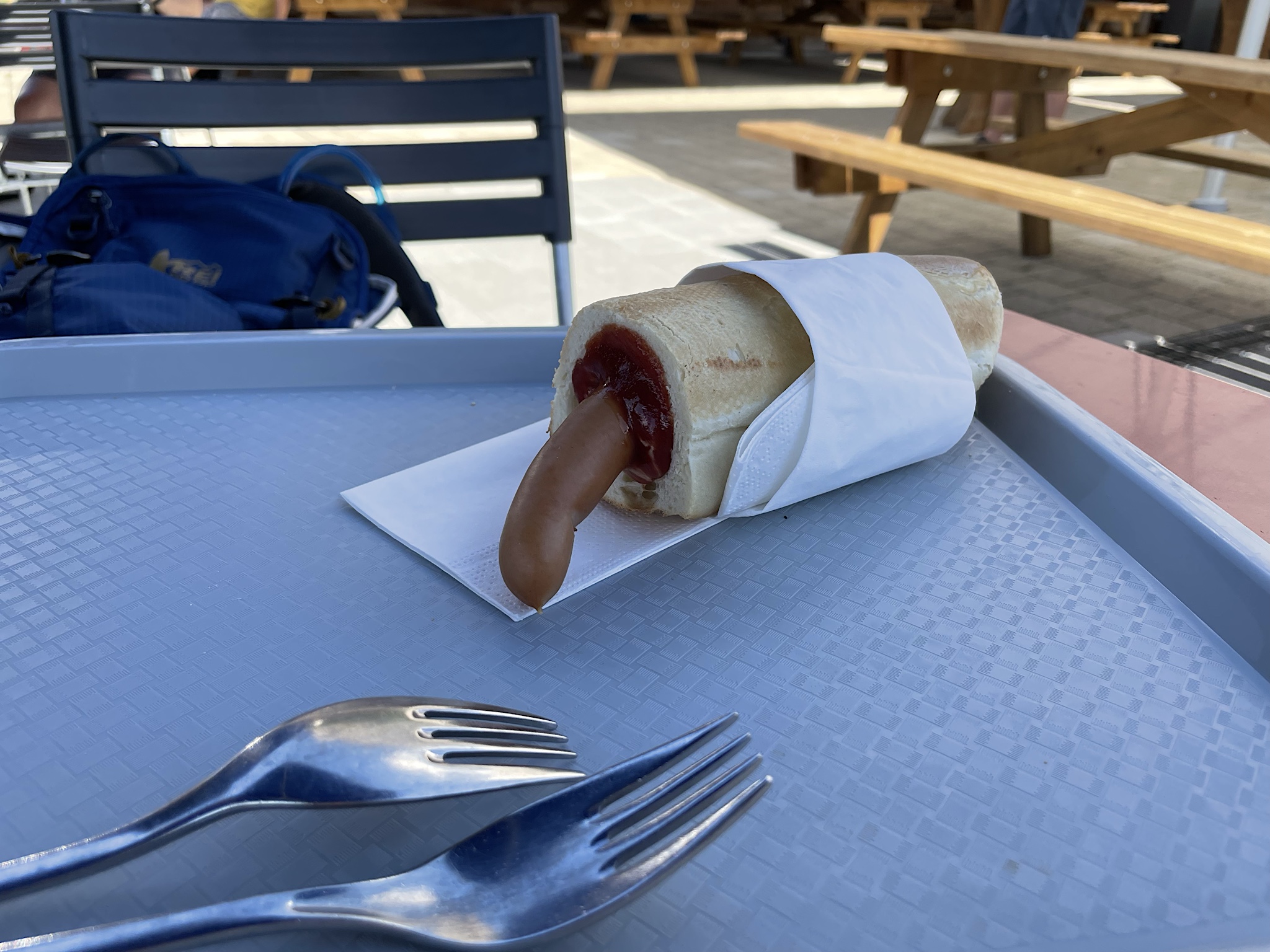 Chris got us these hotdogs.