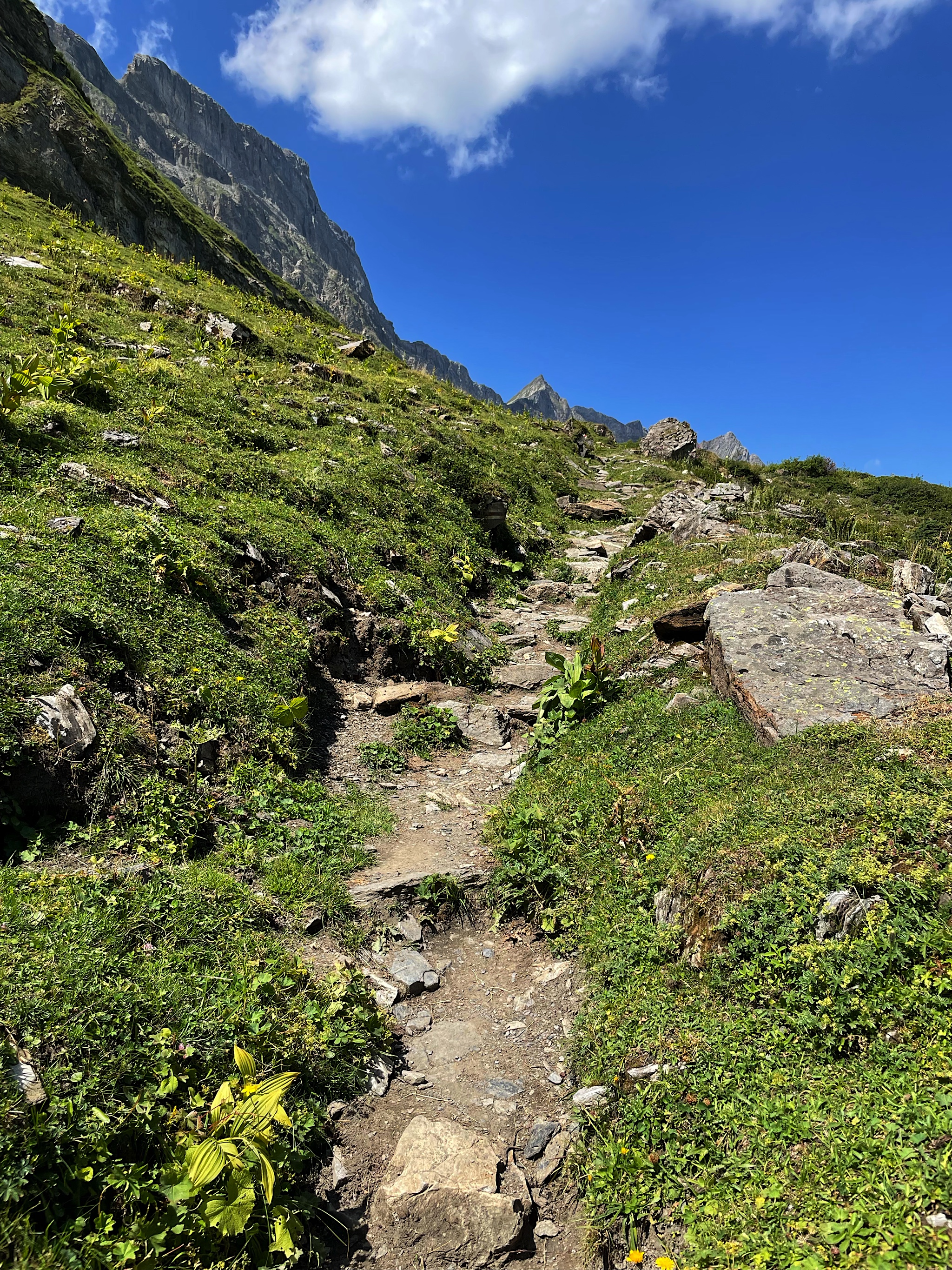 And now – you go up!