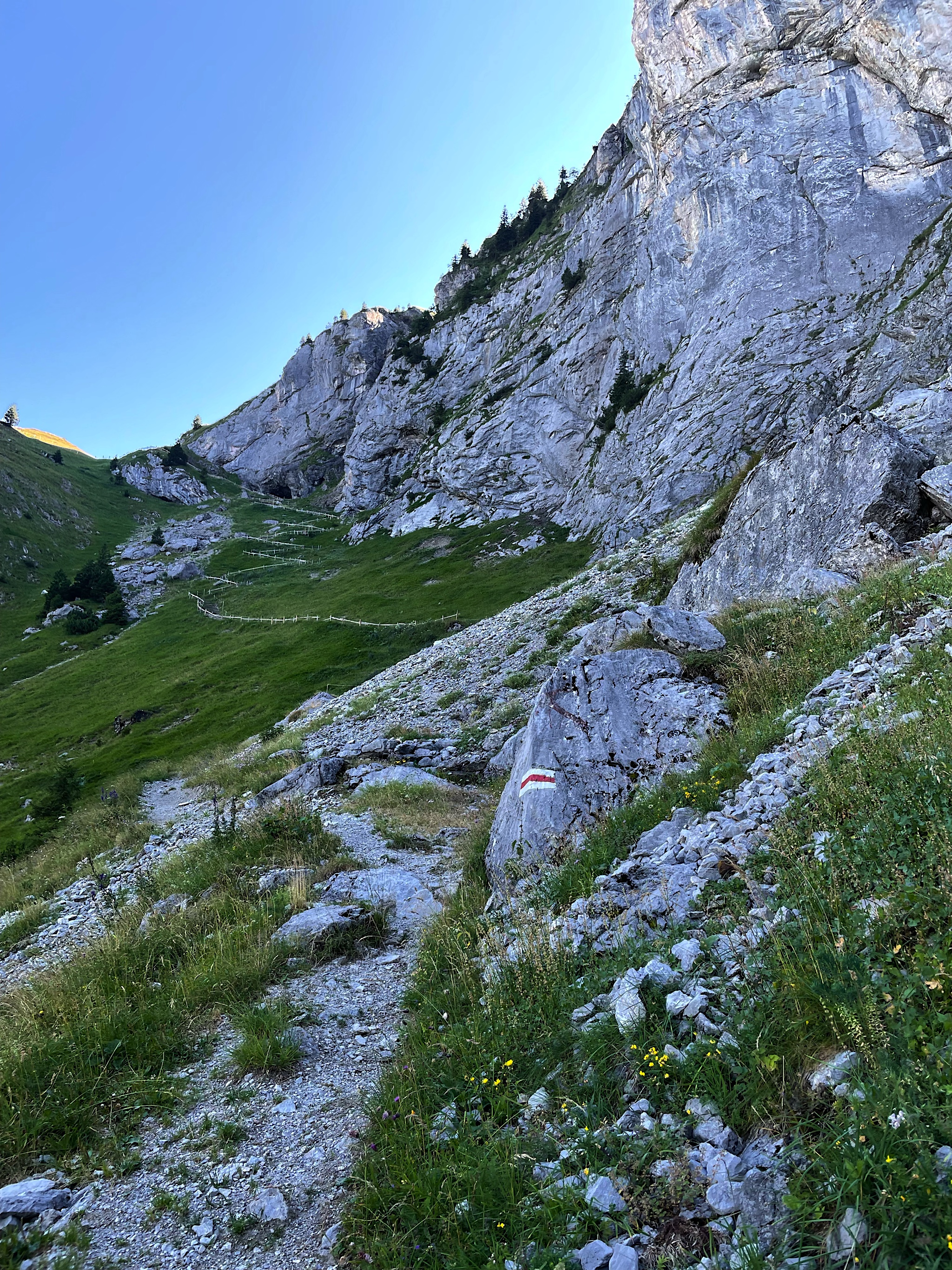 At least we didn’t have to walk UP.