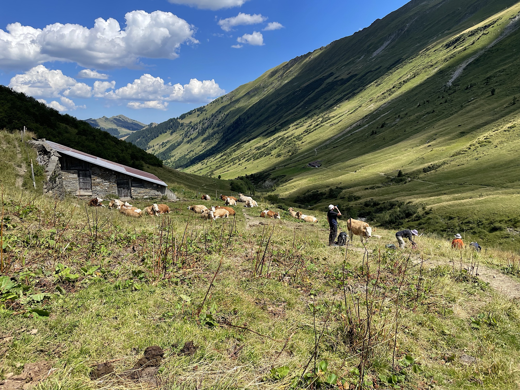 It’s a long but easy valley walk.