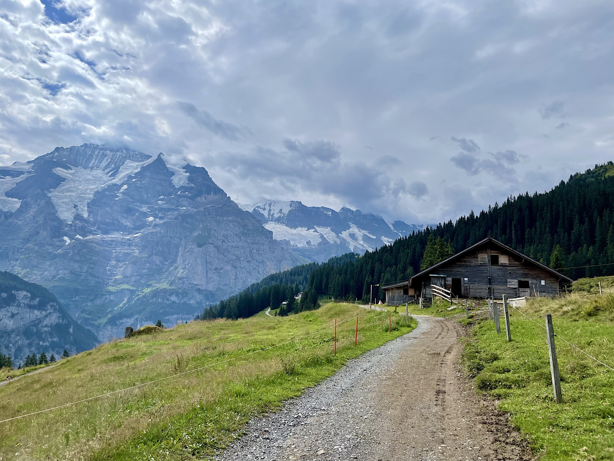 It was nice to have an easy trail today.