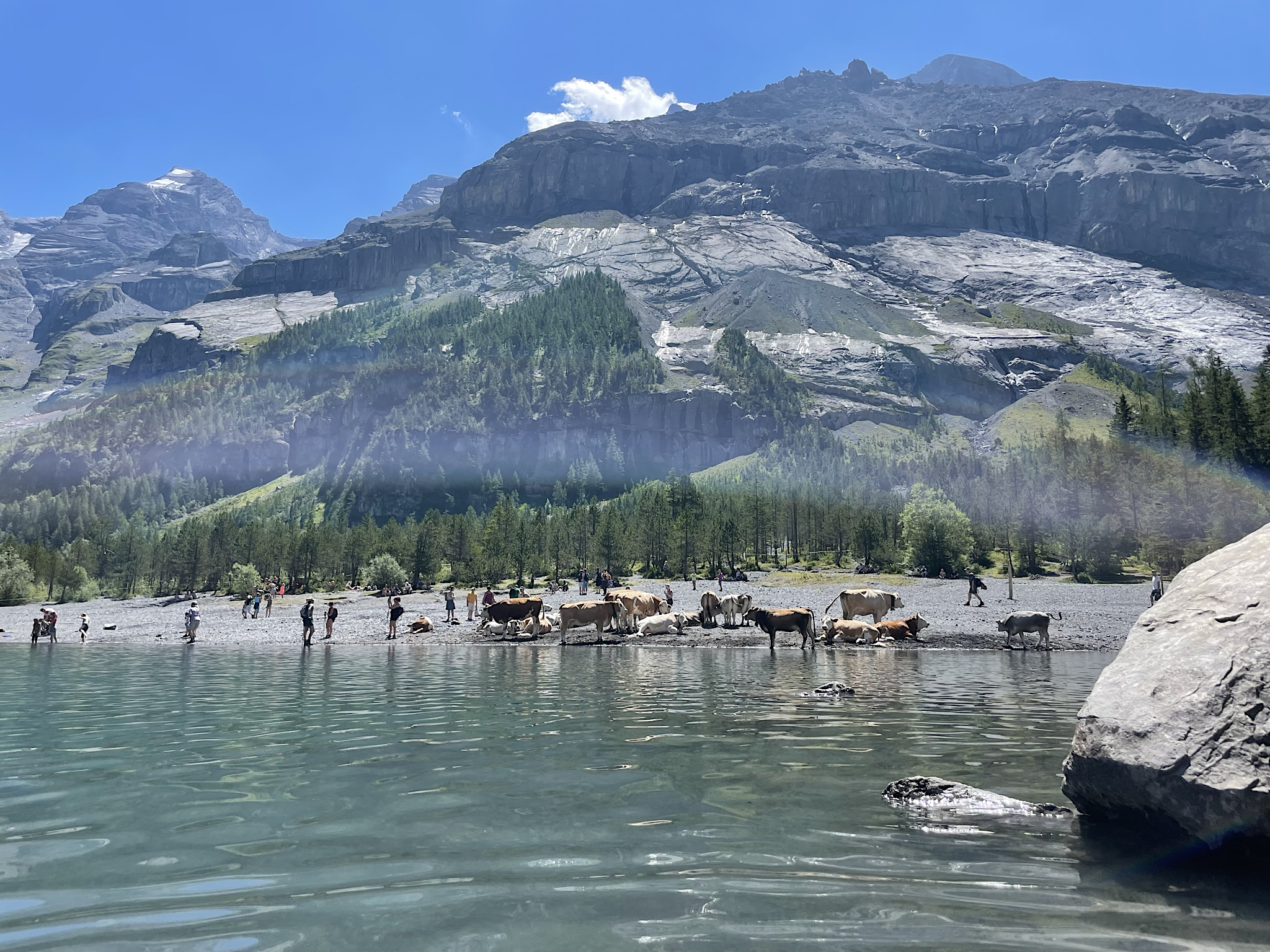 I tried not to think about these cows and the water quality. Though I also tried not to get the water in my mouth.