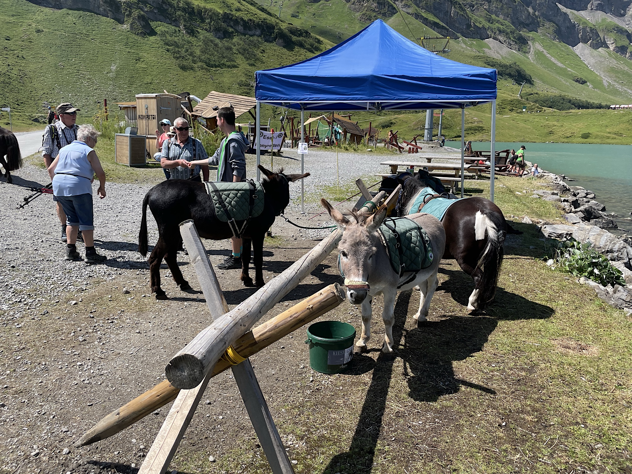 The Trübsee is a big tourist attraction. They have donkeys for kids to ride.