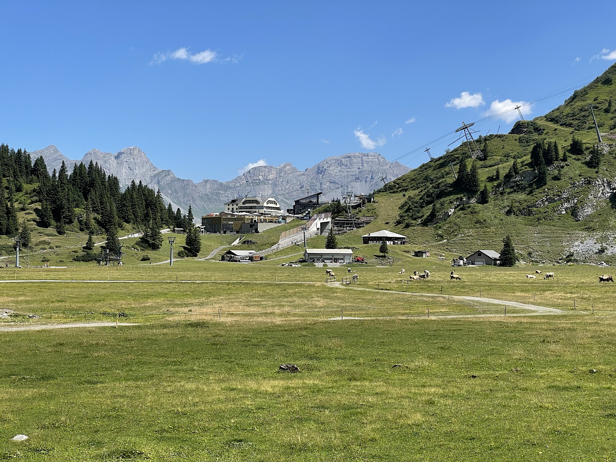 The snack bar and terrace can accommodate large numbers of guests. The restaurant is astonishingly elegant, no comparison with ski snack bars in the U.S., or at least in the Carolinas. You want champagne and fondue? They got that!