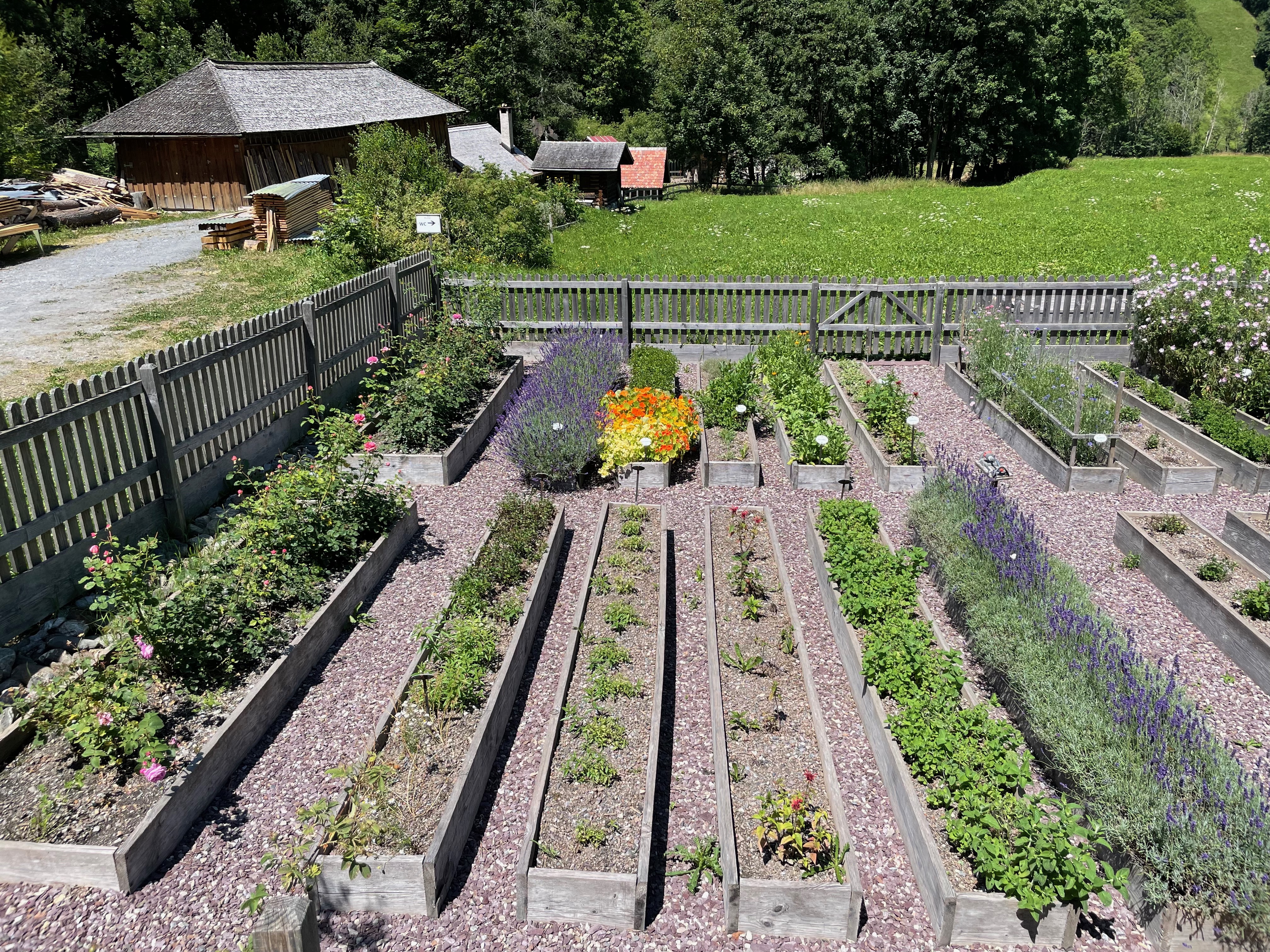 There are lots of gardens here.