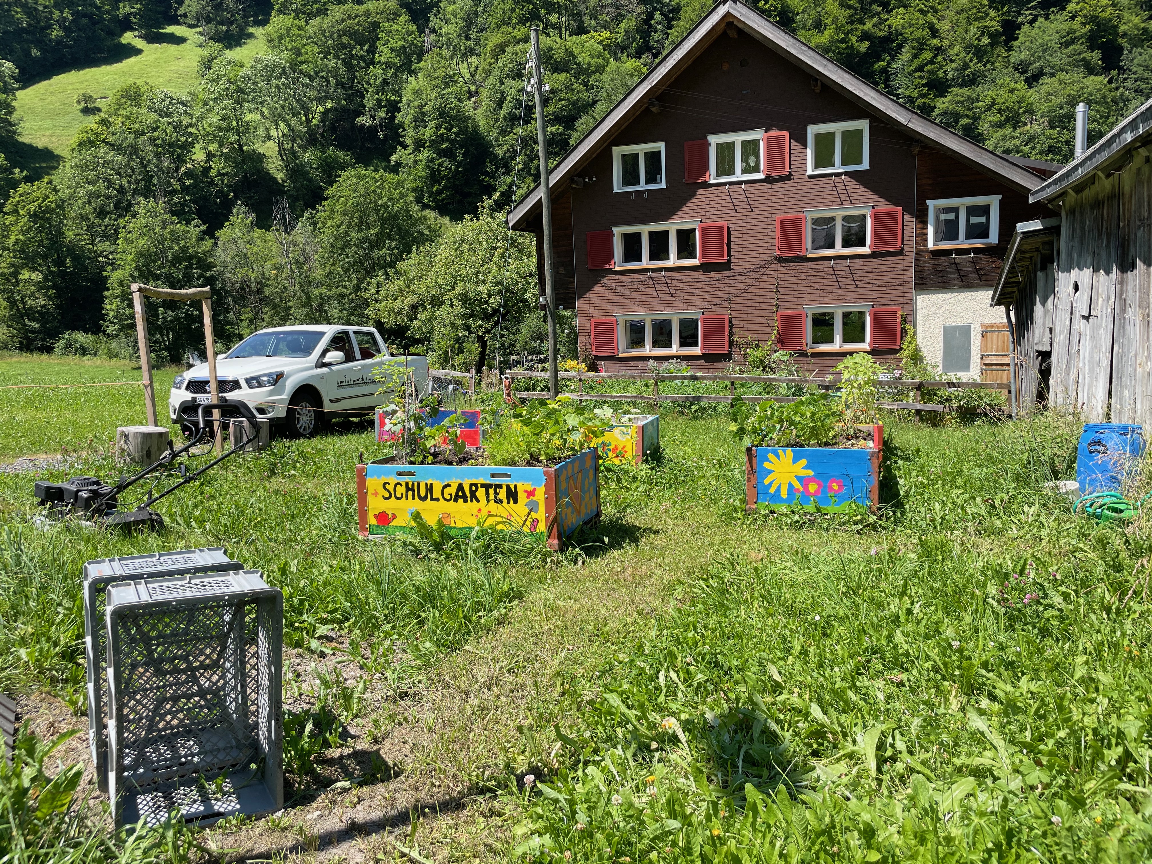 Weisstannen school garden
