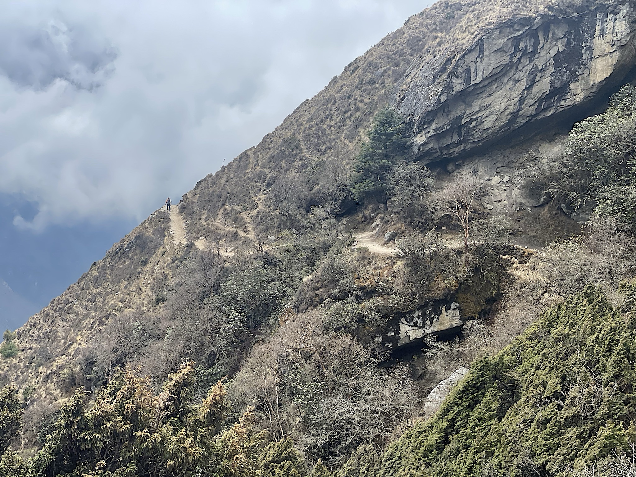 This was really a lovely trail to walk!