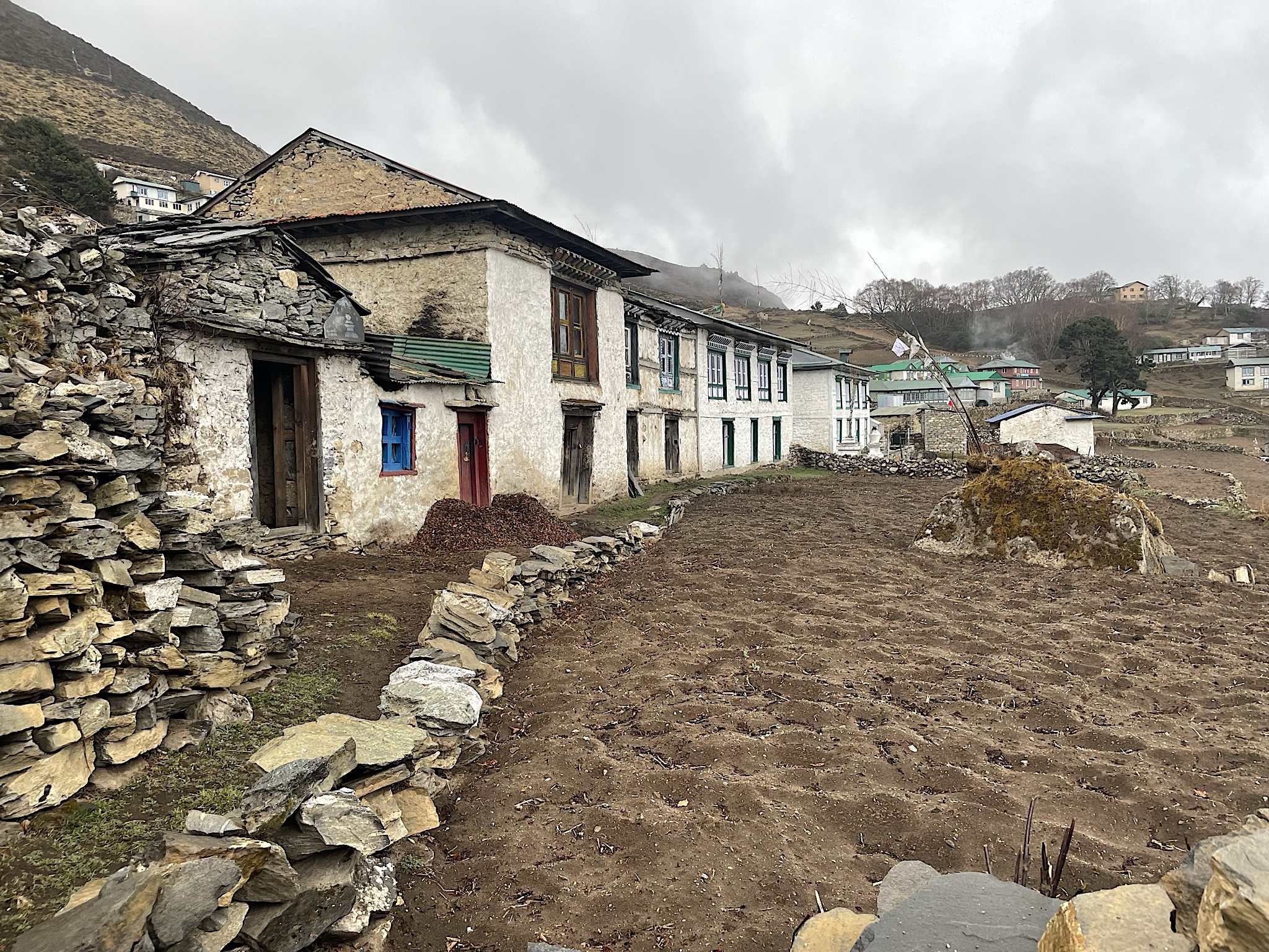 There are also potato fields.